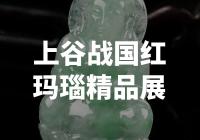 上谷战国红玛瑙精品展：展示哪些珍稀文物？